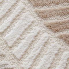 Classic Nordic-Style 3D Wilton Woven Carpet(CONCH)