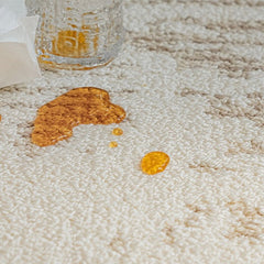 Outstanding Water Resistance! Premium Nordic-Style Waterproof Rug(Waterproof Carpet-22)
