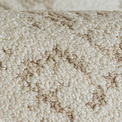 Outstanding Water Resistance! Premium Nordic-Style Waterproof Rug(Waterproof Carpet-22)