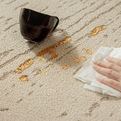Outstanding Water Resistance! Premium Nordic-Style Waterproof Rug(Waterproof Carpet-09)