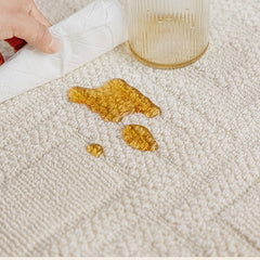 Outstanding Water Resistance! Premium Nordic-Style Waterproof Rug(Waterproof Carpet-37)