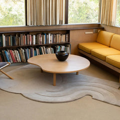 Premium Hand-Tufted Carpet（Arc Balance）